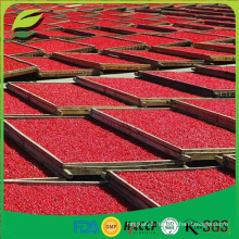 Factory Supply High Quality Goji Berry